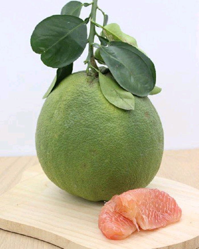 Bưởi da xanh